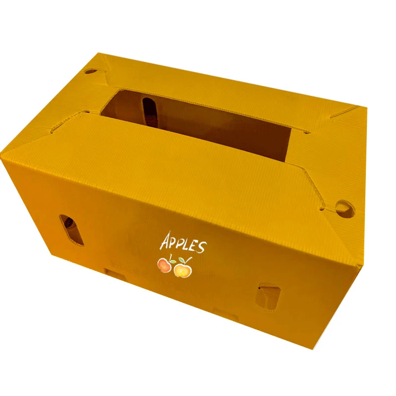 Blwch Logisteg PP